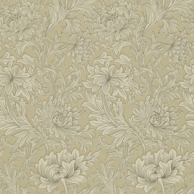 Chrysanthemum Ivory Gold DMOWCH103