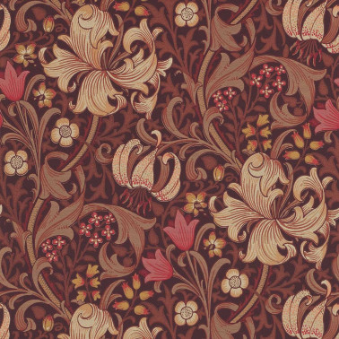 Golden Lily Fig Burnt Orange DM6P210402