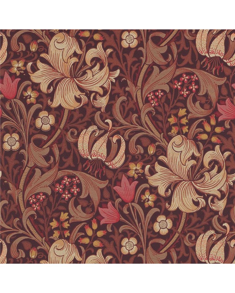 Golden Lily Fig Burnt Orange DM6P210402 Golden Lily Fig Burnt Orange DM6P210402