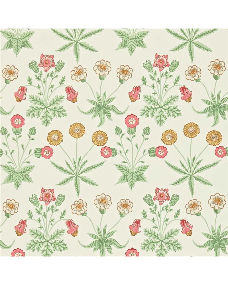 Daisy Willow Pink DARW212562 Daisy Willow Pink DARW212562