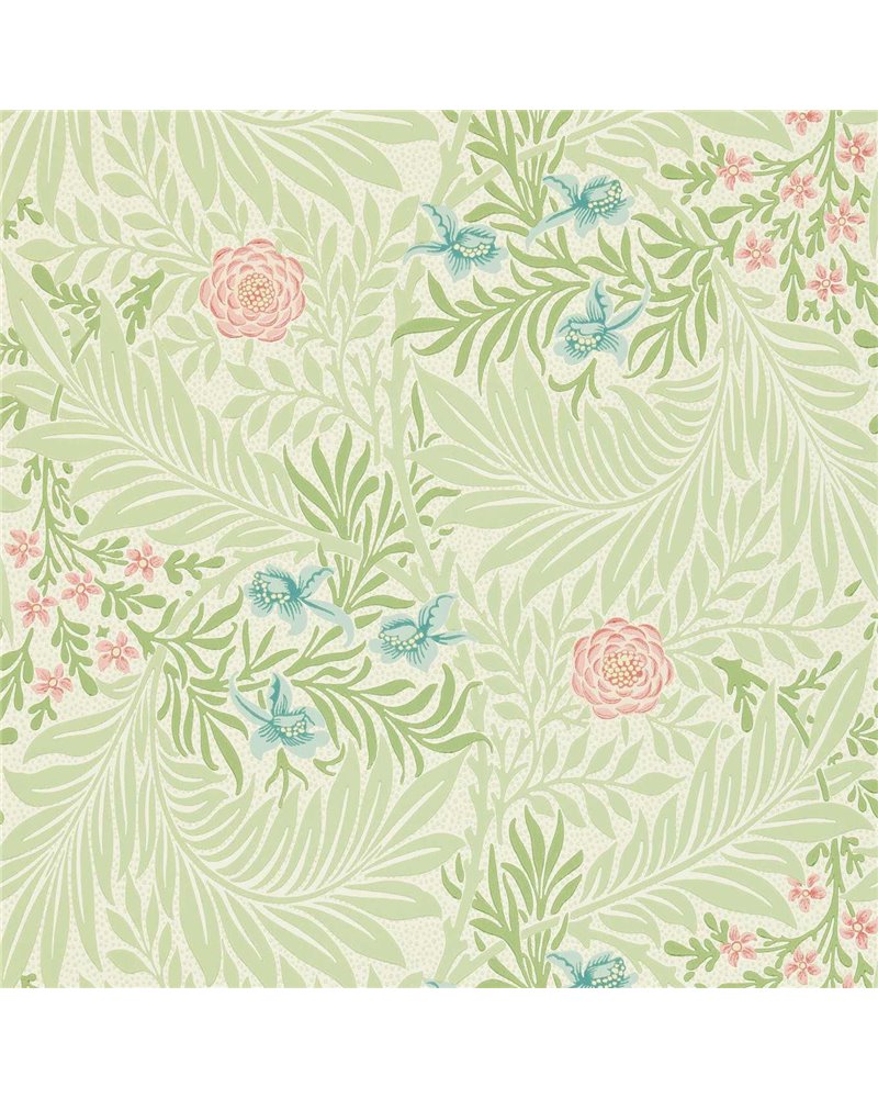 Larkspur Green Coral DARW212558 Larkspur Green Coral DARW212558