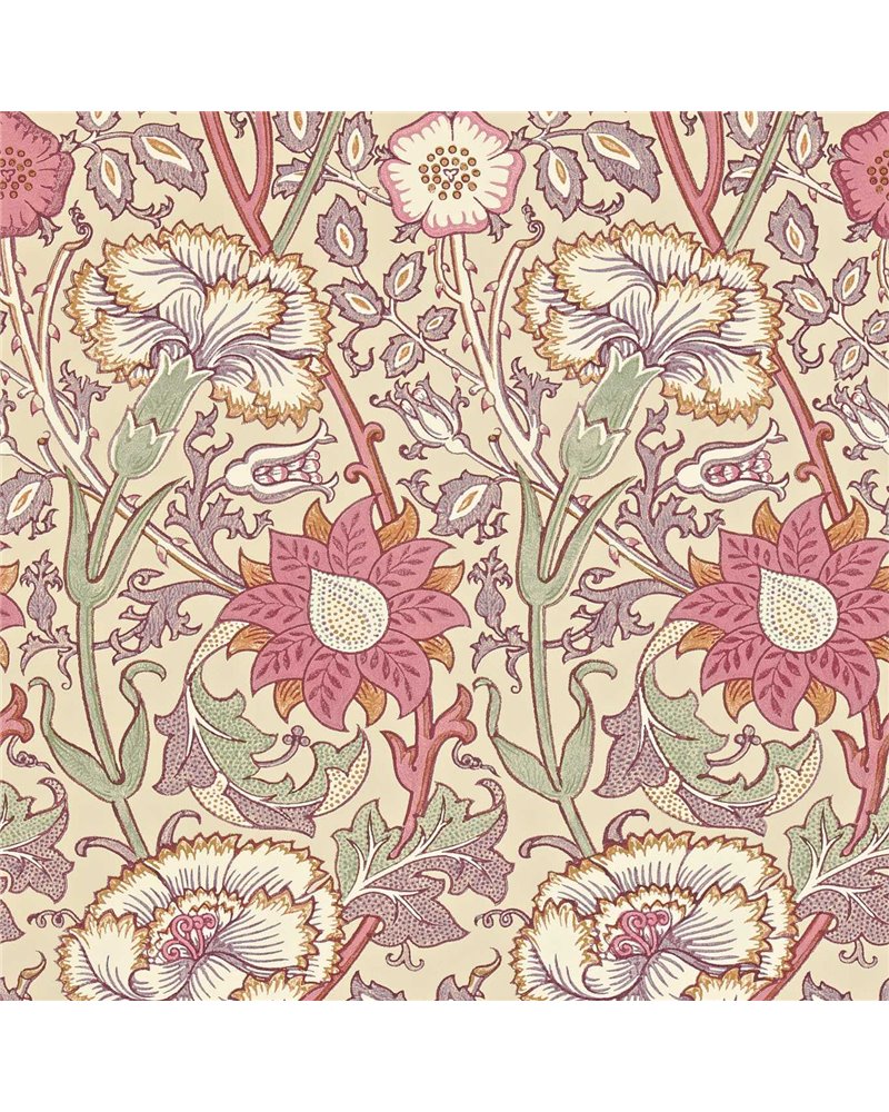 Pink & Rose Manilla White DARW212566 Pink & Rose Manilla White DARW212566