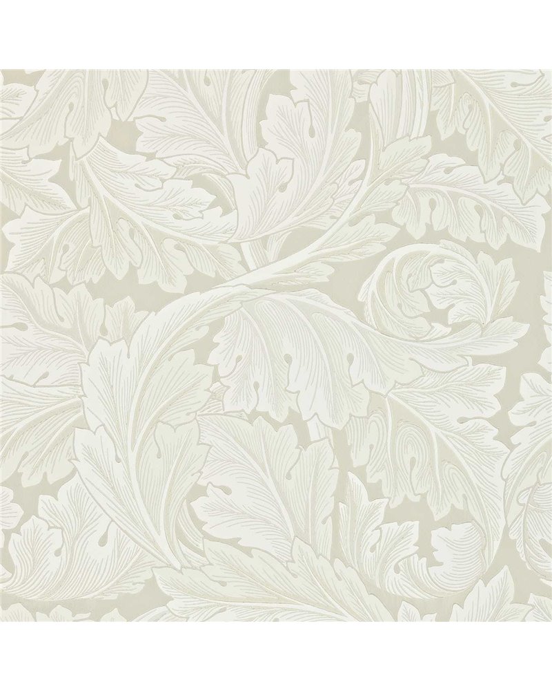 Acanthus Chalk DARW212554