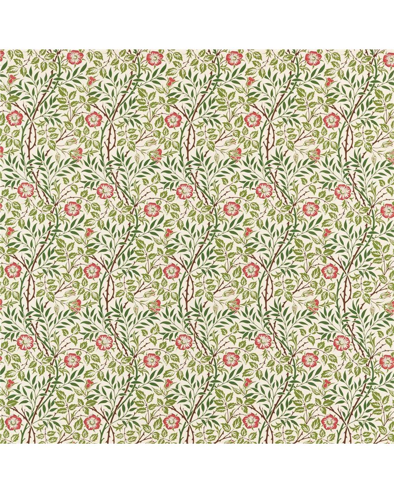 Sweet Briar Boughs Rose MFRF227240 Sweet Briar Boughs Rose MFRF227240