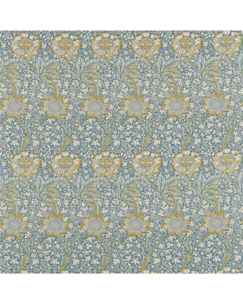 Kennet Sea Blue Lichen DM6F220324 Kennet Sea Blue Lichen DM6F220324