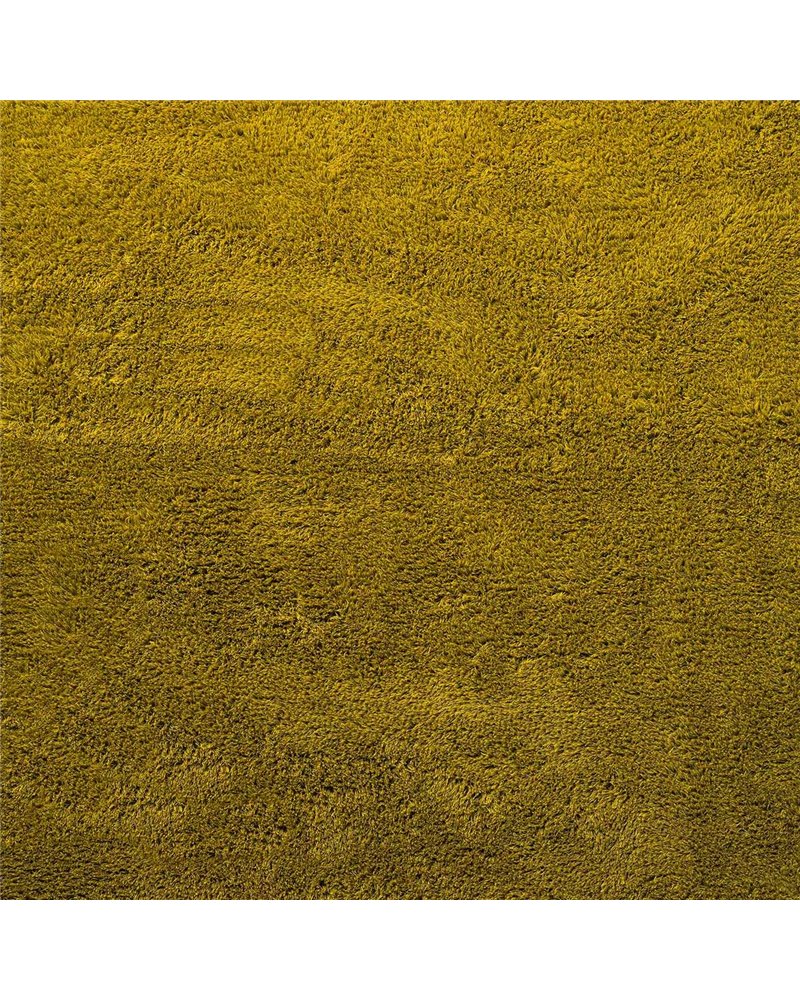Shade High Lemon Gold 011906 Shade High Lemon Gold 011906