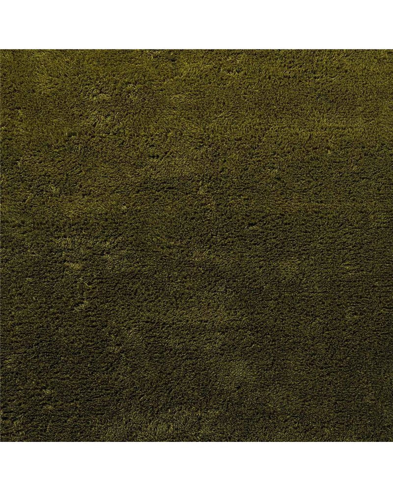 Shade High Olive Deep Forest 011907 Shade High Olive Deep Forest 011907