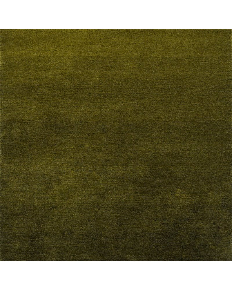 Shade Low Olive Deep Forest 010107 Shade Low Olive Deep Forest 010107