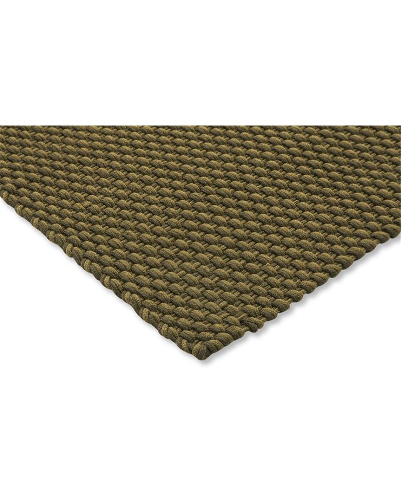 Lace Thyme Pine 497207