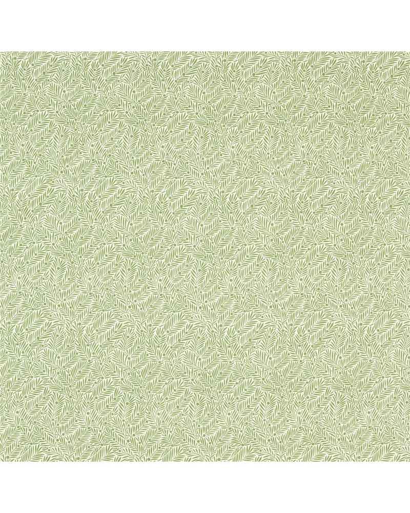 Yew & Aril Sage MLIF227256 Yew & Aril Sage MLIF227256