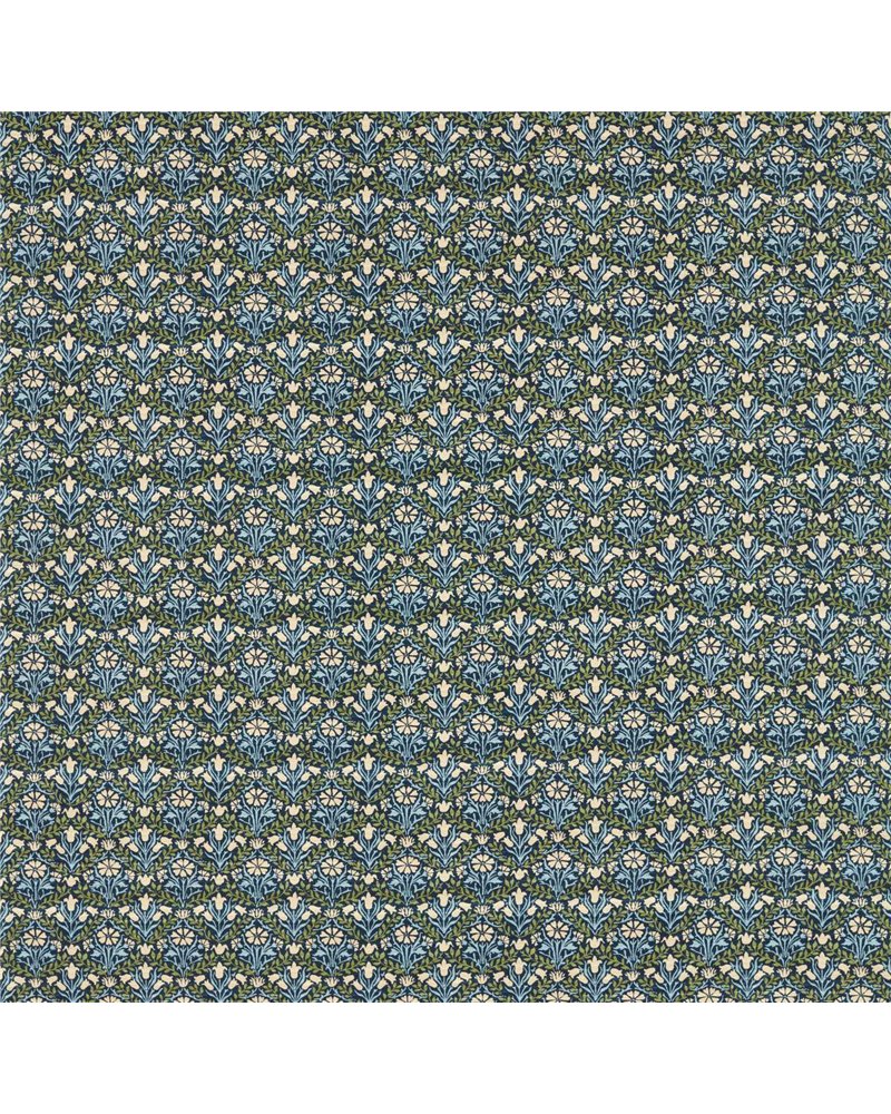 Bellflowers Indigo Thyme MLIF227254 Bellflowers Indigo Thyme MLIF227254