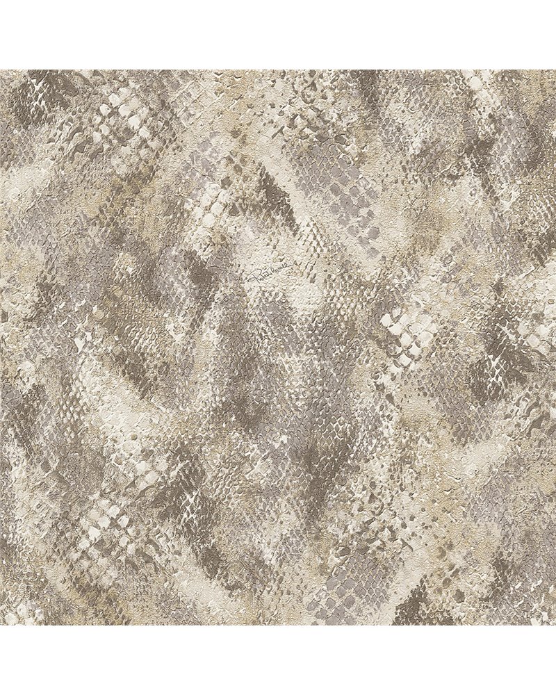 RC21054 RC21054