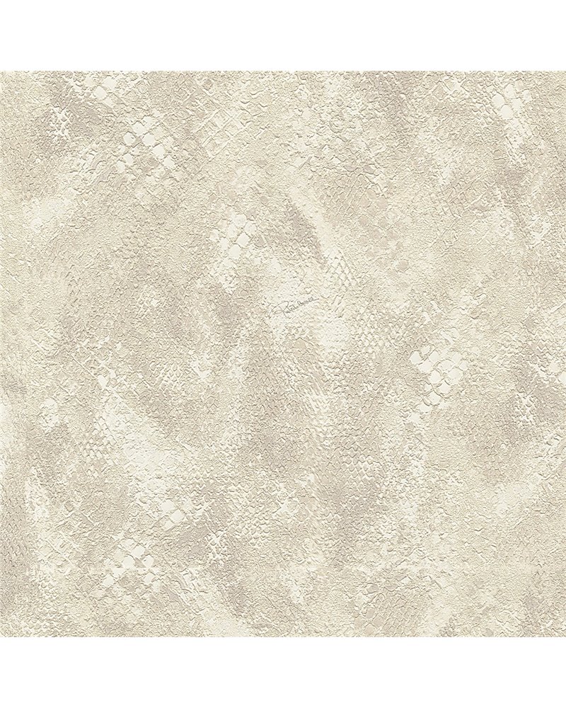 RC21053 RC21053