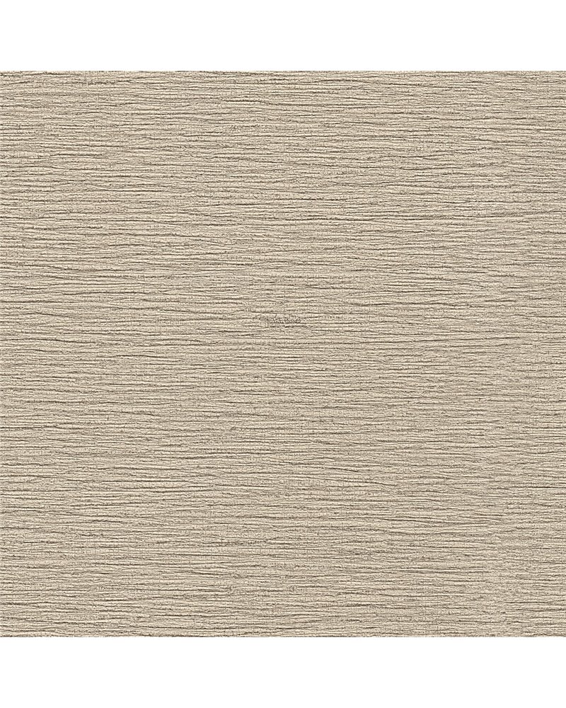 RC21087 RC21087