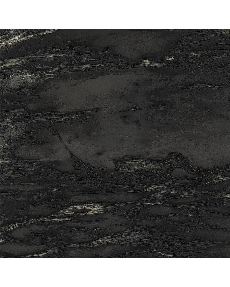 RC21026 RC21026