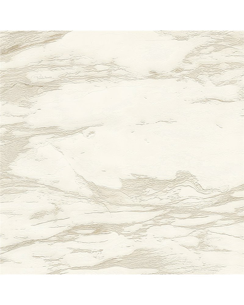 RC21022 RC21022