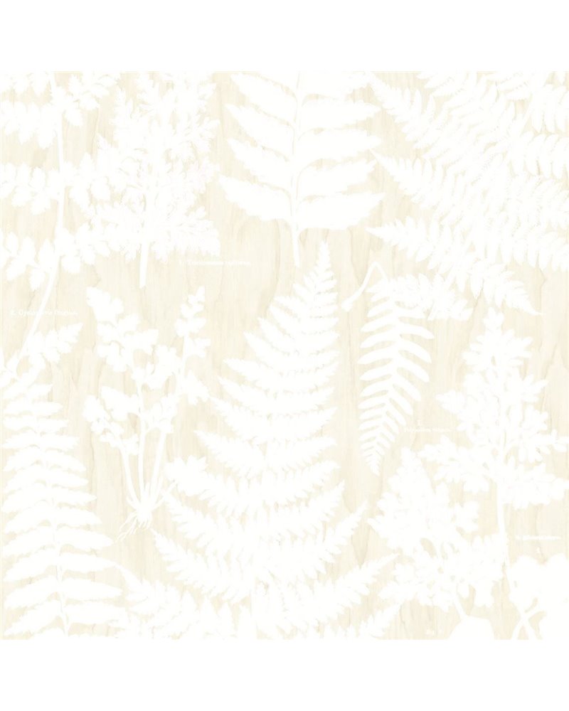 Geonature 366106 Geonature 366106