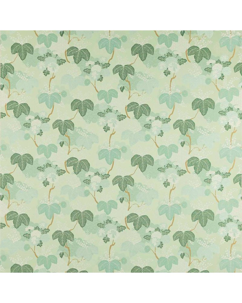 Lucia Opaline M4141-01 Lucia Opaline M4141-01