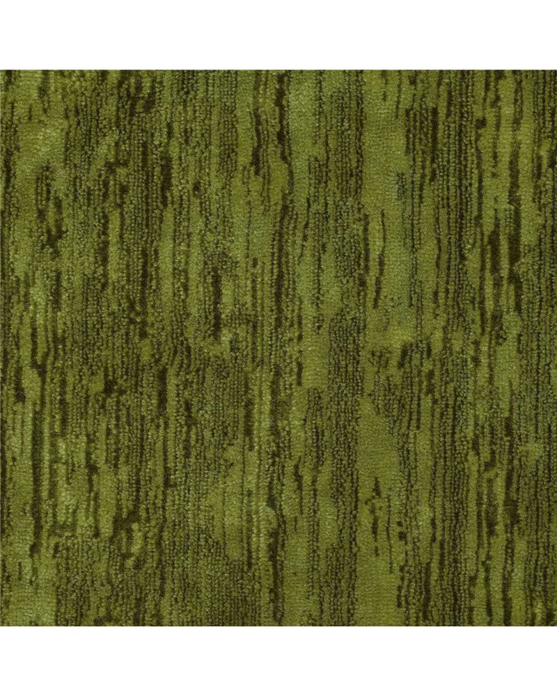 Icaria Olive DIBV237462 Icaria Olive DIBV237462