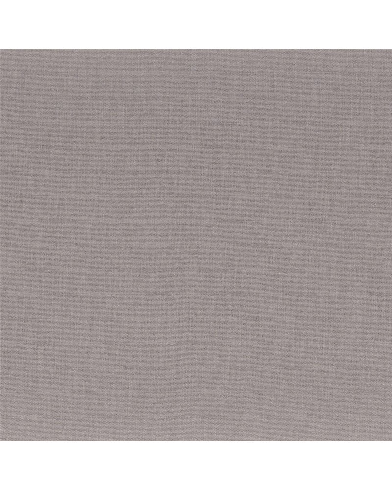 Anemone Ardoise 50111440 Anemone Ardoise 50111440