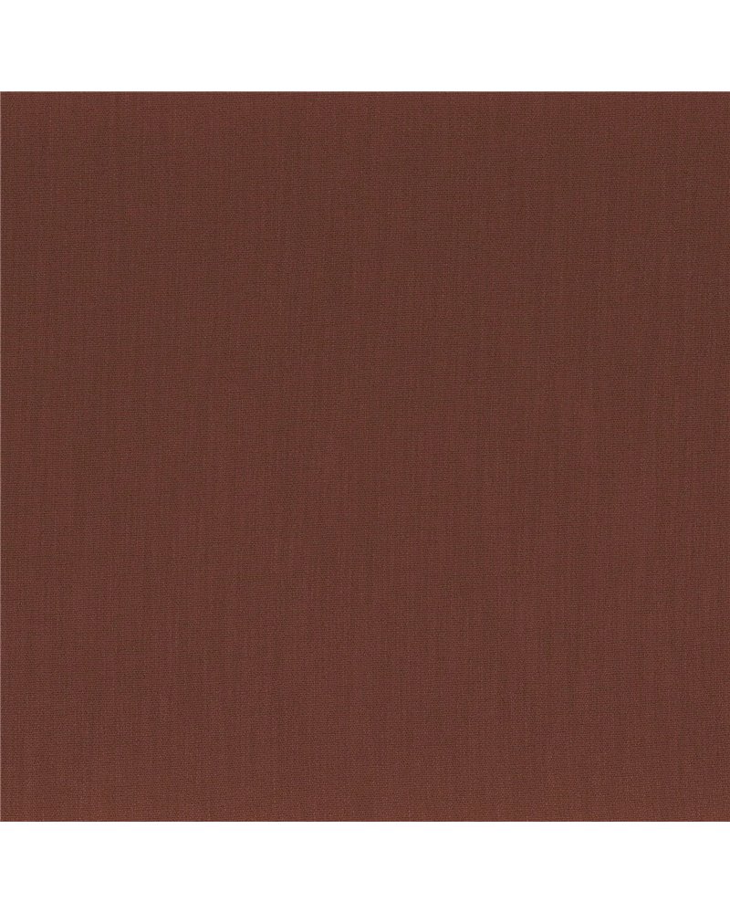 Anemone Ambre Rouge 50112631 Anemone Ambre Rouge 50112631