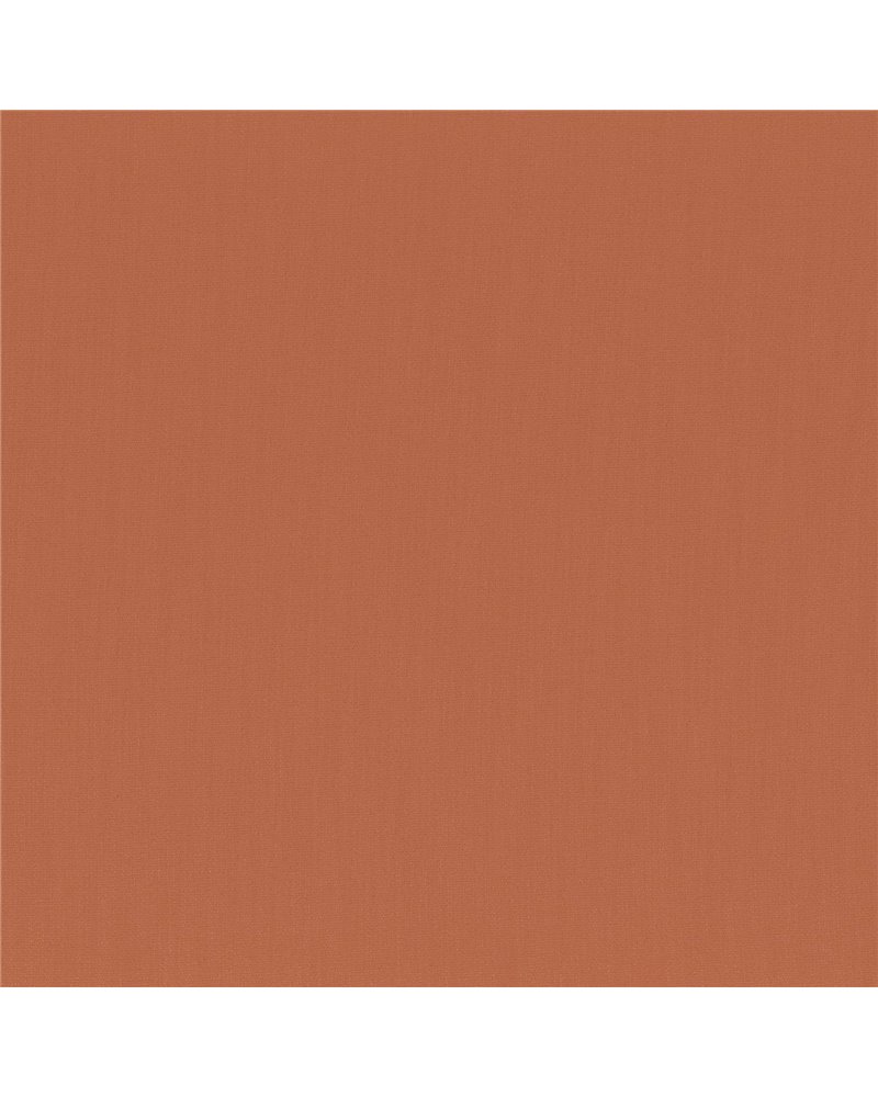 Anemone Tangerine 50112792 Anemone Tangerine 50112792