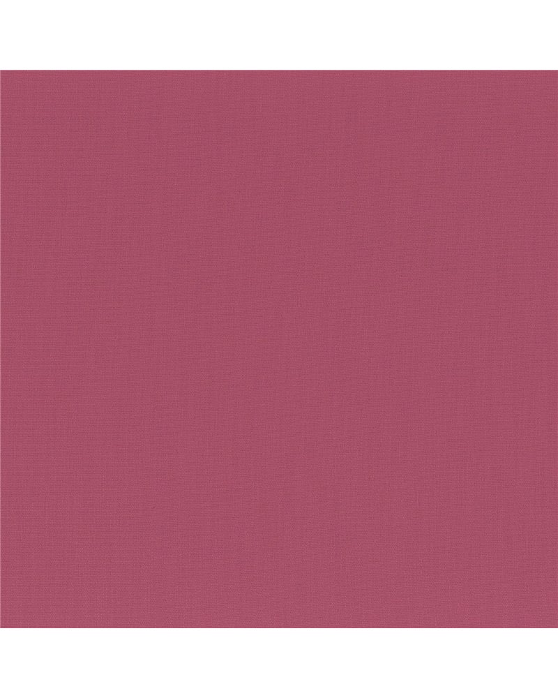 Anemone Fuschia 50112590 Anemone Fuschia 50112590