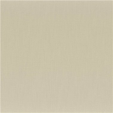 Anemone Vert de Gris 50112127