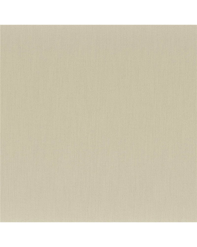 Anemone Vert de Gris 50112127 Anemone Vert de Gris 50112127
