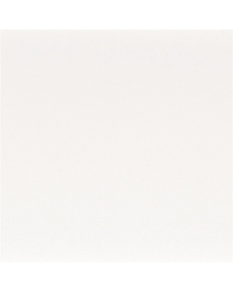 Anemone Neige 50110195 Anemone Neige 50110195