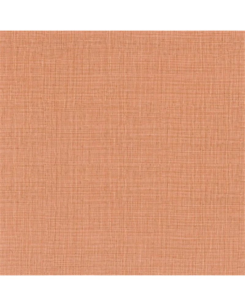 Sierra Corail 76702956 Sierra Corail 76702956