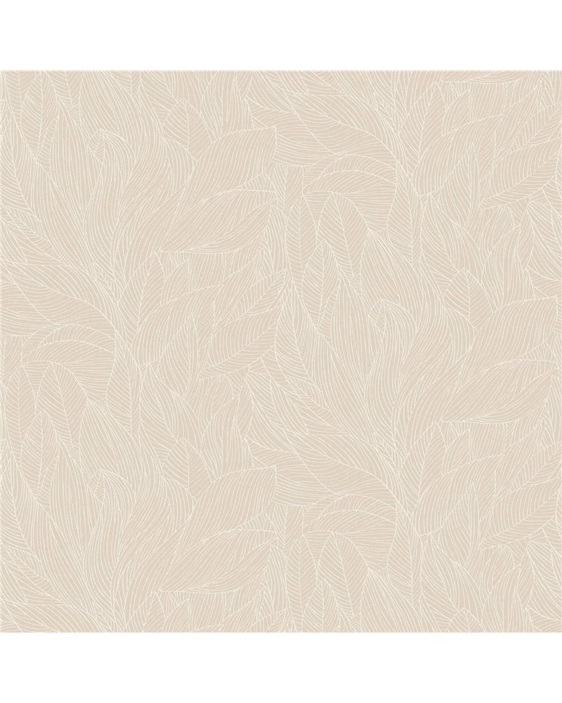 Hosta Noir Dore 76602242