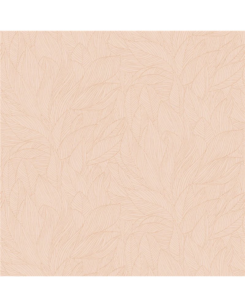 Hosta Rose Poudre Dore 76602446 Hosta Rose Poudre Dore 76602446