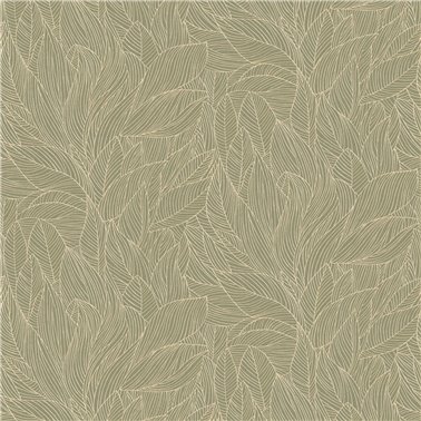 Hosta Sauge Dore 76602548
