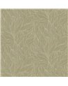 Hosta Sauge Dore 76602548