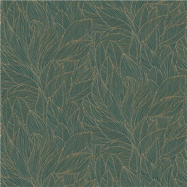 Hosta Jaspe Dore 76602650