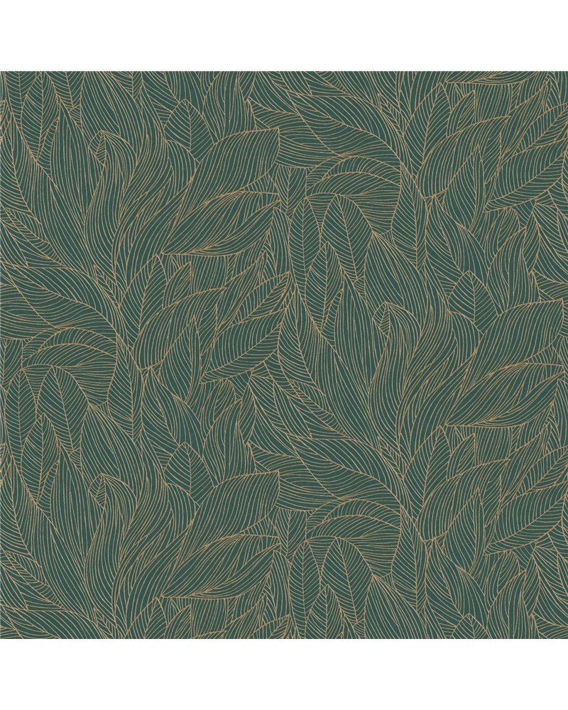 Hosta Jaspe Dore 76602650 Hosta Jaspe Dore 76602650