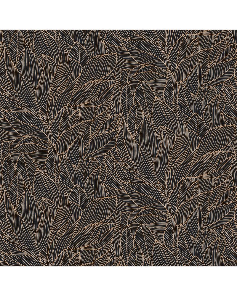 Hosta Sable Nacre 76602344 Hosta Sable Nacre 76602344