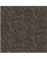 Hosta Sable Nacre 76602344