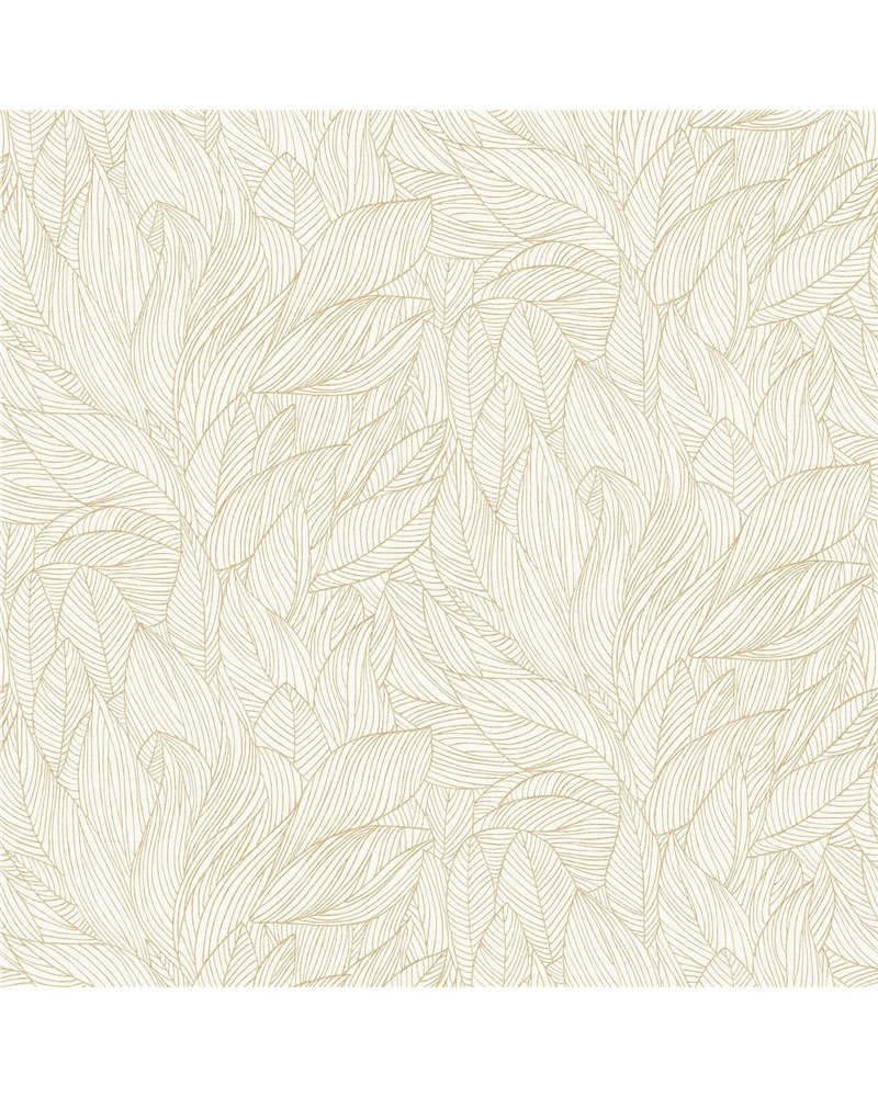 Hosta Ivoire Dore 76602140 Hosta Ivoire Dore 76602140