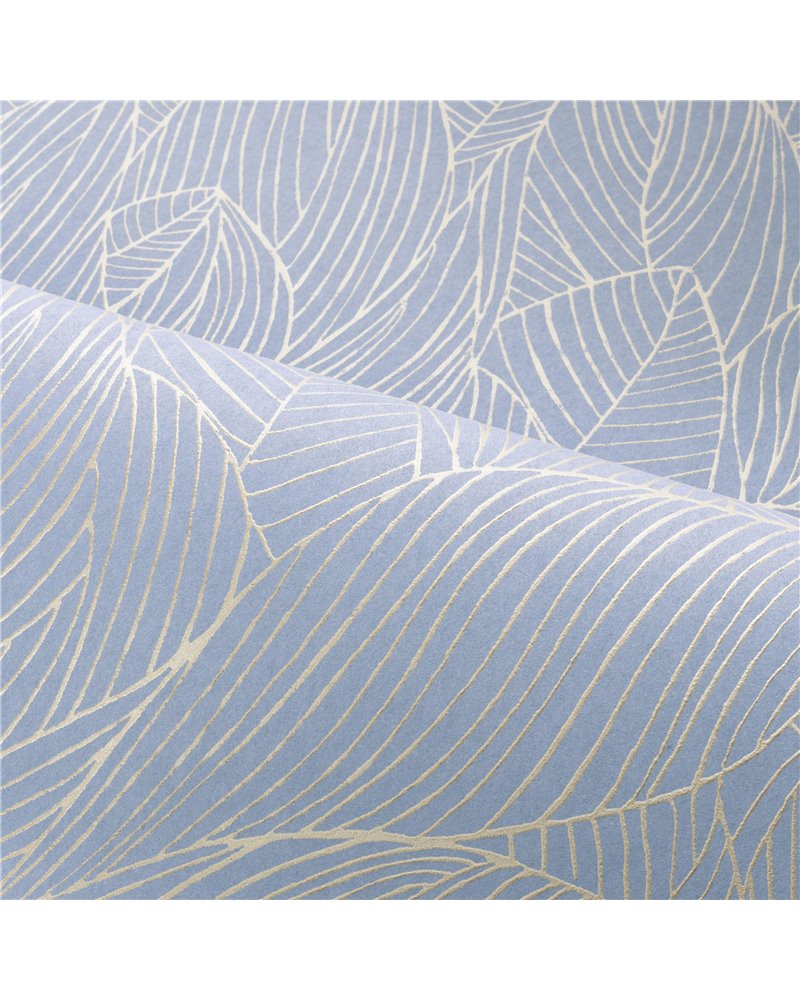 Hosta Lilas Dore 76602956