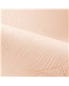 Hosta Rose Poudre Dore 76602446