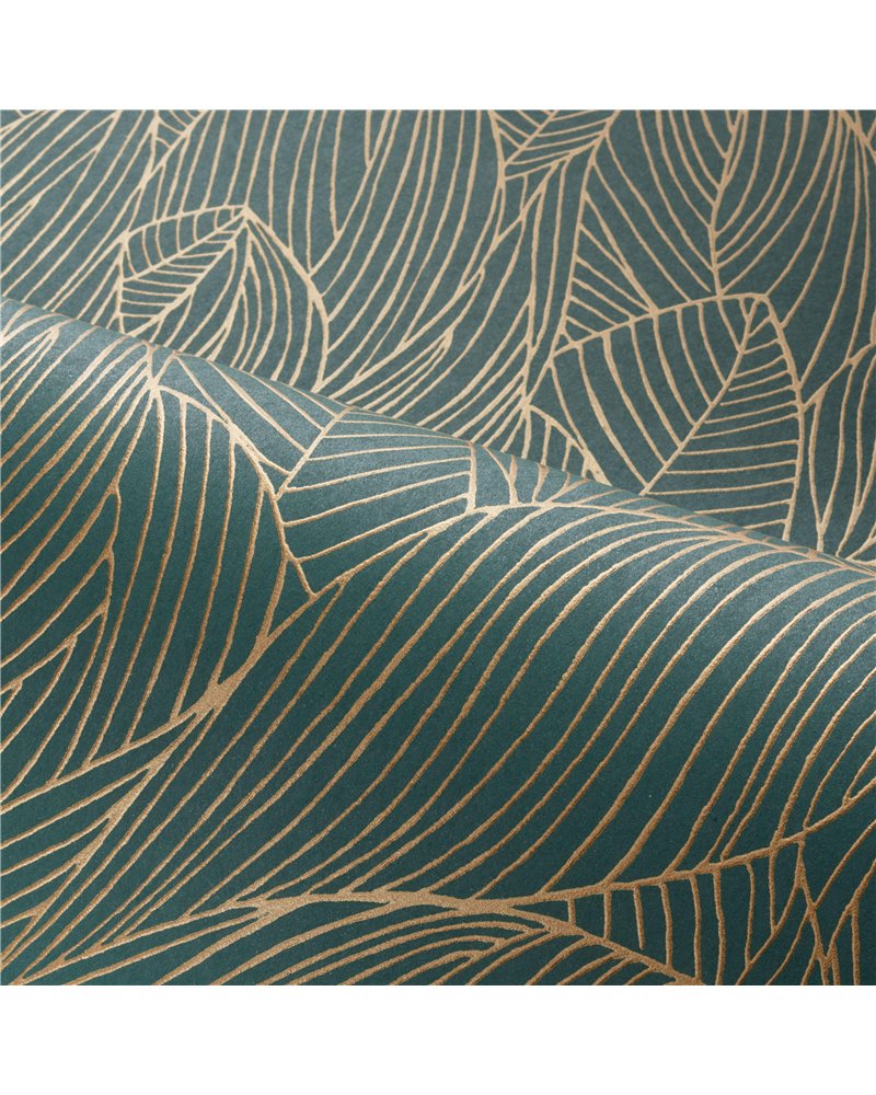 Hosta Jaspe Dore 76602650