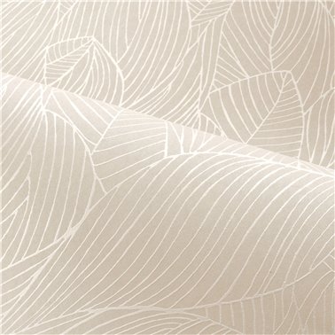 Hosta Noir Dore 76602242