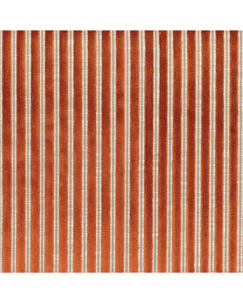 Zebu Orange Brule 11631029 Zebu Orange Brule 11631029