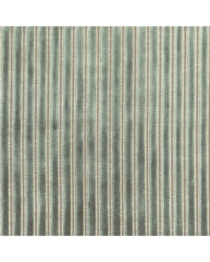 Zebu Eucalyptus 11630671 Zebu Eucalyptus 11630671