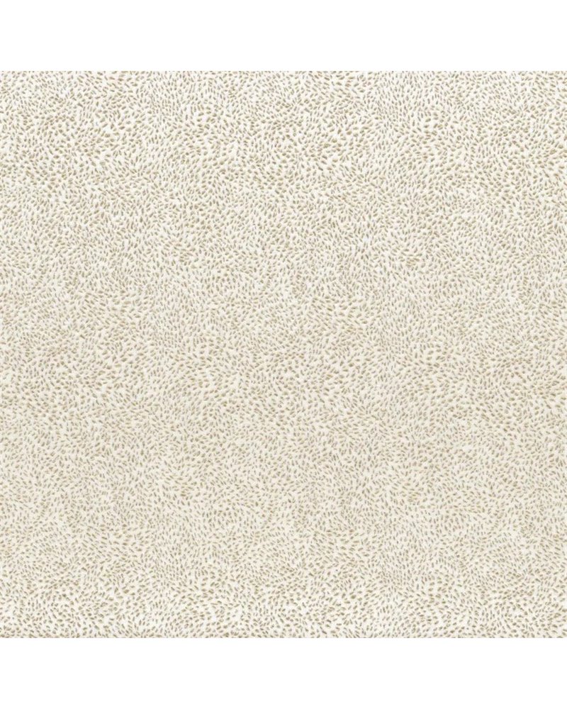 Hima Blanc 11040125 Hima Blanc 11040125