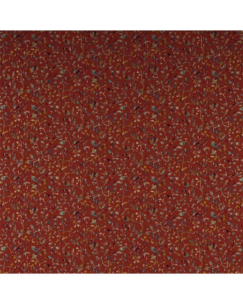 Tadorna Red J0206-02 Tadorna Red J0206-02