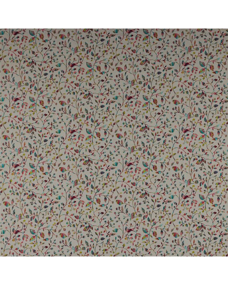 Tadorna Multi J0206-04 Tadorna Multi J0206-04