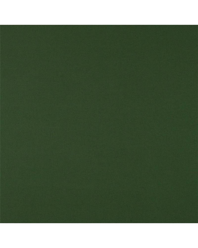 Otis Emerald J0204-26 Otis Emerald J0204-26